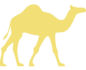 noun-camel-720